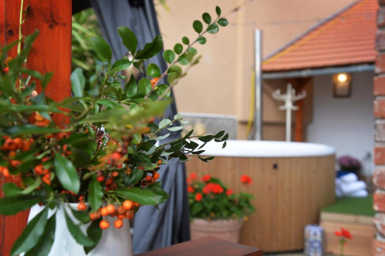 Janicsar Garden Apartman Eger Ngoại thất bức ảnh