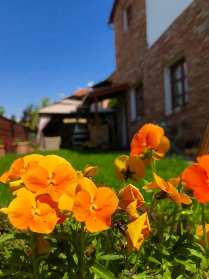 Janicsar Garden Apartman Eger Ngoại thất bức ảnh